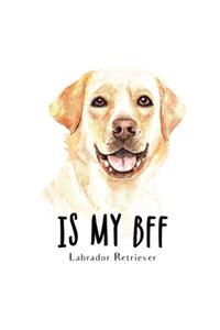 Is My BFF Labrador Retriever