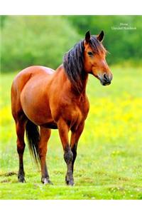 Horse Unruled Notebook