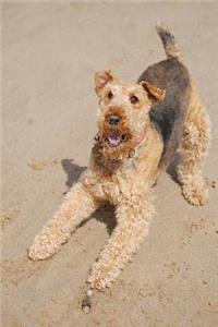 Happy Airedale Terrier at the Beach Journal