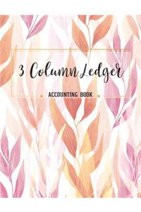 3 Column Ledger Accounting Book