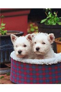 School Composition Book Two Pups Basket Dog Photo 200 Pages