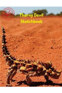 Thorny Devil Sketchbook