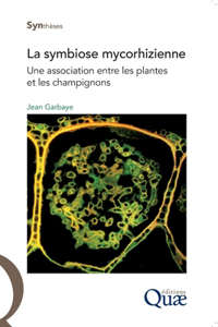 symbiose mycorhizienne