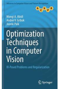 Optimization Techniques in Computer Vision