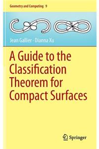 A Guide to the Classification Theorem for Compact Surfaces