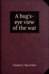 bug's-eye view of the war