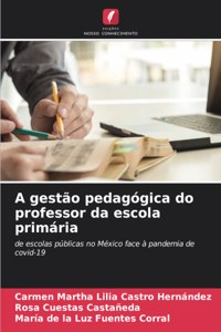 A gestão pedagógica do professor da escola primária