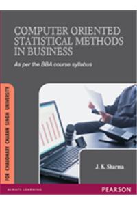 Computer Oriented Statistical Methods in Business