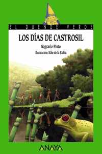 Los dias de castrosil
