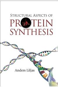 Structural Aspects of Protein Synthesis