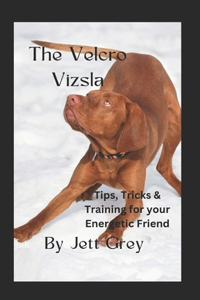 The Velcro Vizsla