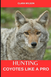 Hunting Coyotes Like a Pro