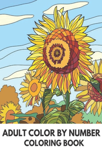 Adult Color By Number Coloring Book