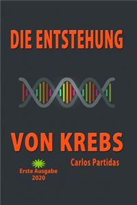 Die Entstehung Von Krebs