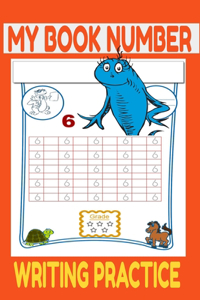 my book number writing practice