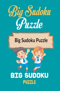 Big Sudoku Puzzle