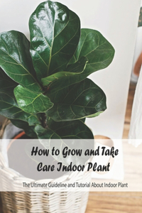 How to Grow and Take Care Indoor Plant