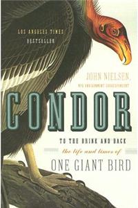 Condor