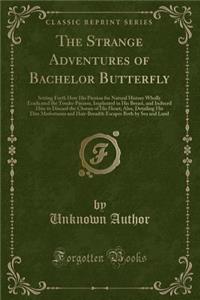 The Strange Adventures of Bachelor Butterfly