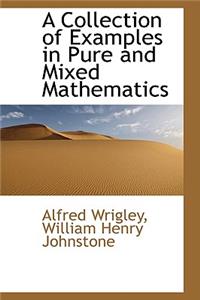 A Collection of Examples in Pure and Mixed Mathematics