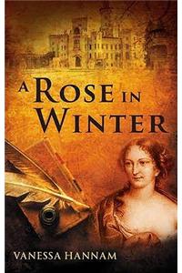 Rose in Winter
