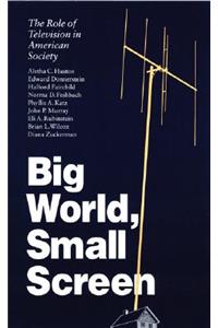 Big World, Small Screen