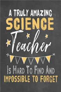 A Truly Amazing Science Teacher Is Hard To Find And Impossible To Forget