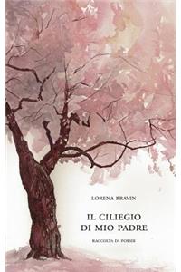 Il Ciliegio Di Mio Padre