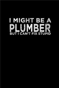 I might be a plumber but I can't fix stupid