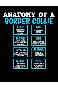 Anatomy of a Border Collie