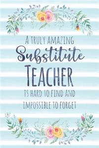 A Truly Amazing Substitute Teacher Is Hard To Find And Impossible To Forget