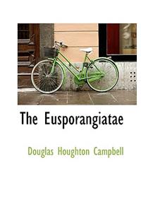 The Eusporangiatae