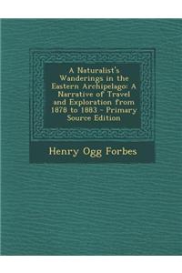 A Naturalist's Wanderings in the Eastern Archipelago