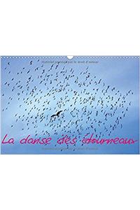 Danse Des Etourneaux 2017