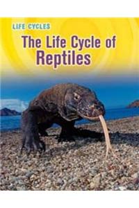 Life Cycle of Reptiles