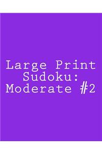 Large Print Sudoku