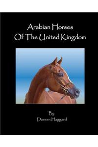 Arabian Horses in the United Kingdom