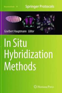 In Situ Hybridization Methods