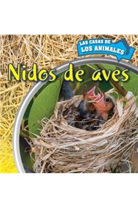 Nidos de Aves (Inside Bird Nests)