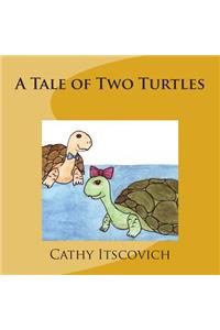 Tale of Two Turtles