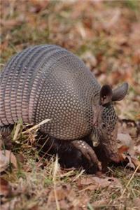 Armadillo Journal