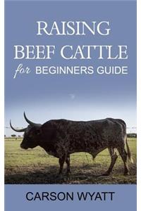 Raising Beef Cattle For Beginner's Guide