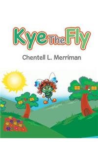 Kye the Fly