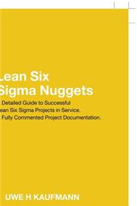 Lean Six Sigma Nuggets