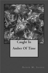 Caught In Amber Of Time