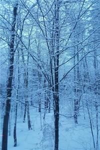 Winter Weather Journal Blue Hour