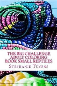 BIG Challenge Adult Coloring Book Small Reptiles
