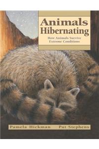 Animals Hibernating: How Animals Survive Extreme Conditions