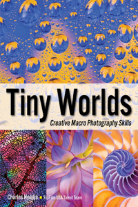 Tiny Worlds