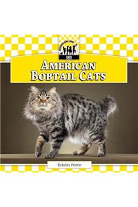 American Bobtail Cats